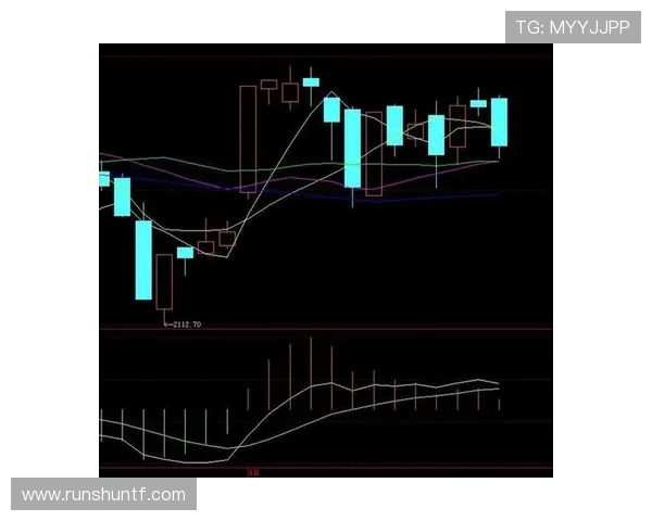 南京排球队防守策略深度分析与战术解读 南京排球队防守策略深度分析与战术解读