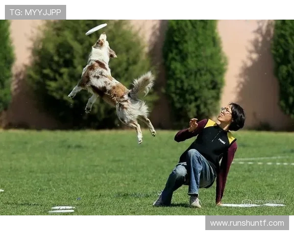 广州飞盘队在极限运动世界杯中的精彩表现与状态分析