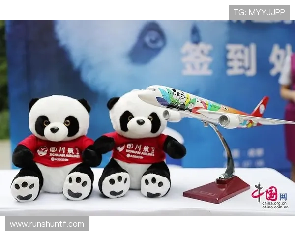 成都篮球队精英赛之路：从默默无闻到荣耀巅峰的奋斗历程